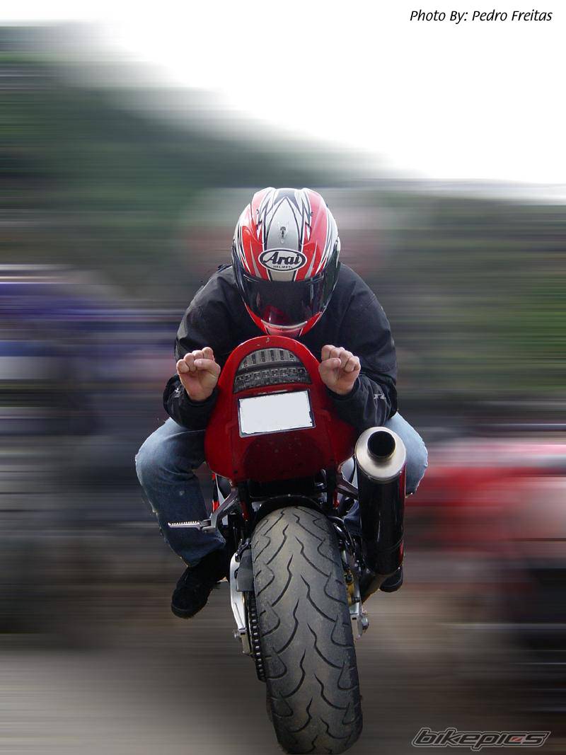 2003 HONDA CBR 900 | Picture 106051 motorcycle photo