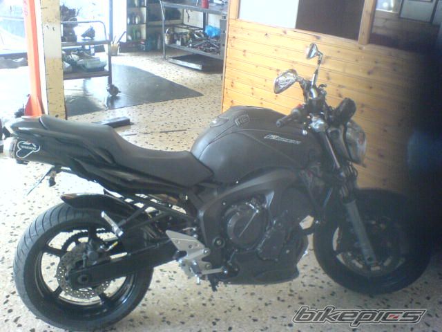 2005 YAMAHA FZ6 FAZER | Picture 1061013 motorcycle photo