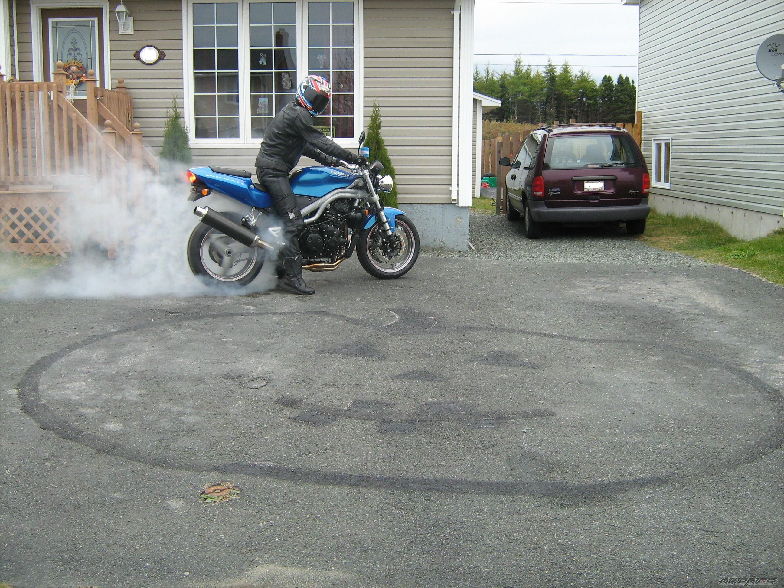 2002 TRIUMPH SPEED TRIPLE | Picture 1061521 motorcycle photo