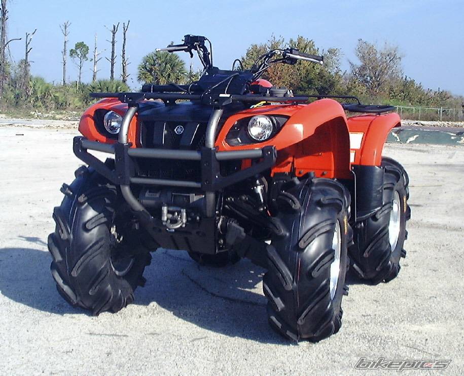 2002 YAMAHA GRIZZLY | Picture 106161 motorcycle photo