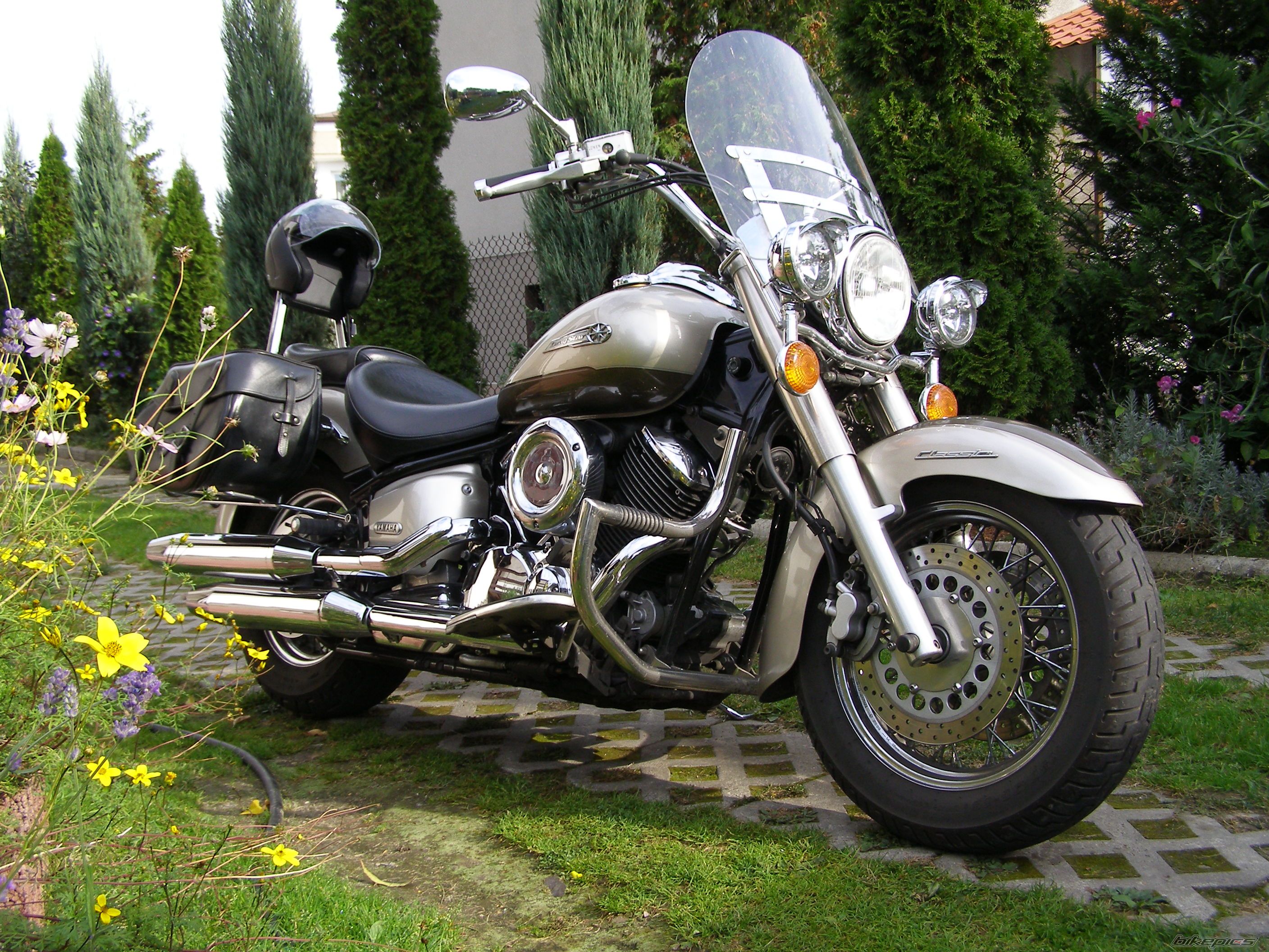 2002 YAMAHA XVS1100A DRAGSTAR CLASSIC | Picture 1061665 motorcycle photo