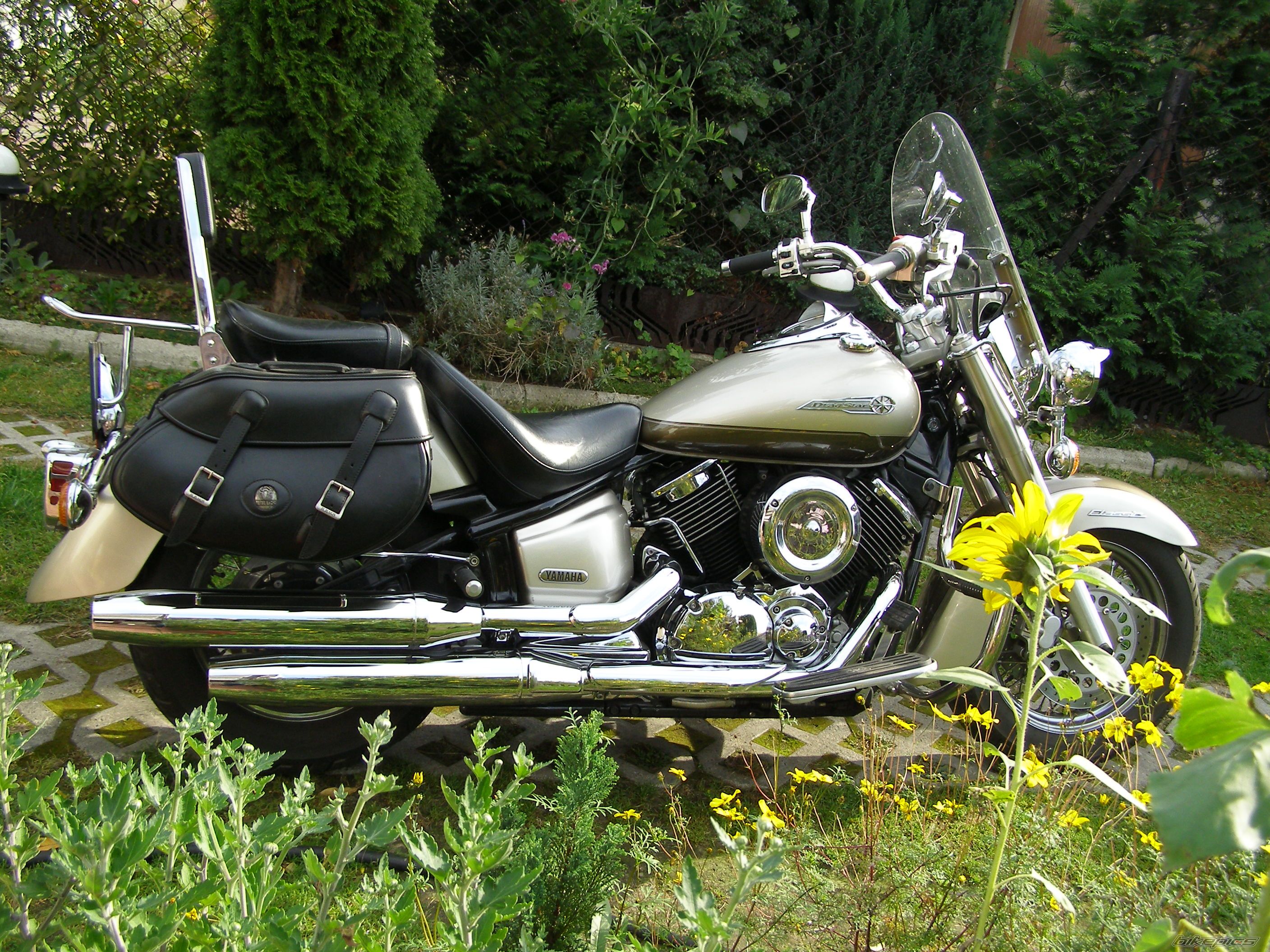 2002 YAMAHA XVS1100A DRAGSTAR CLASSIC | Picture 1061688 motorcycle photo