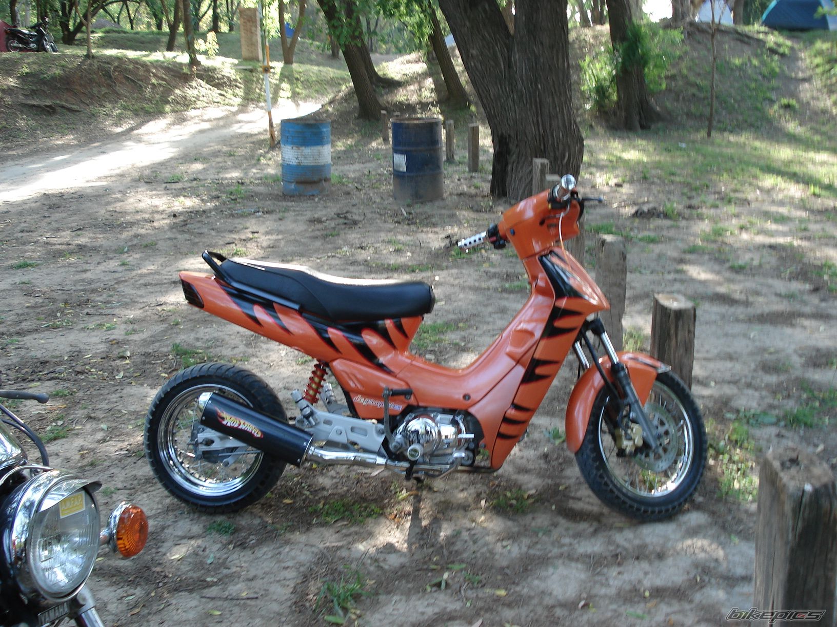 1998 YAMAHA CRYPTON R 105 | Picture 1061831 motorcycle photo