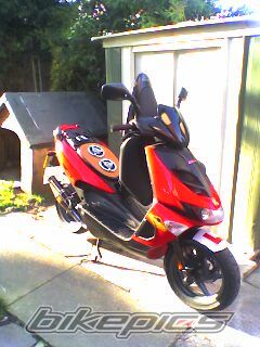 2003 APRILIA SR 50 | Picture 1062414 motorcycle photo
