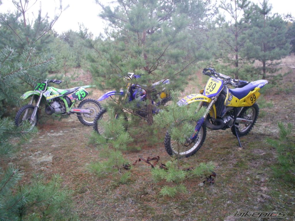 2004 HUSQVARNA WR 250 | Picture 1062456 motorcycle photo