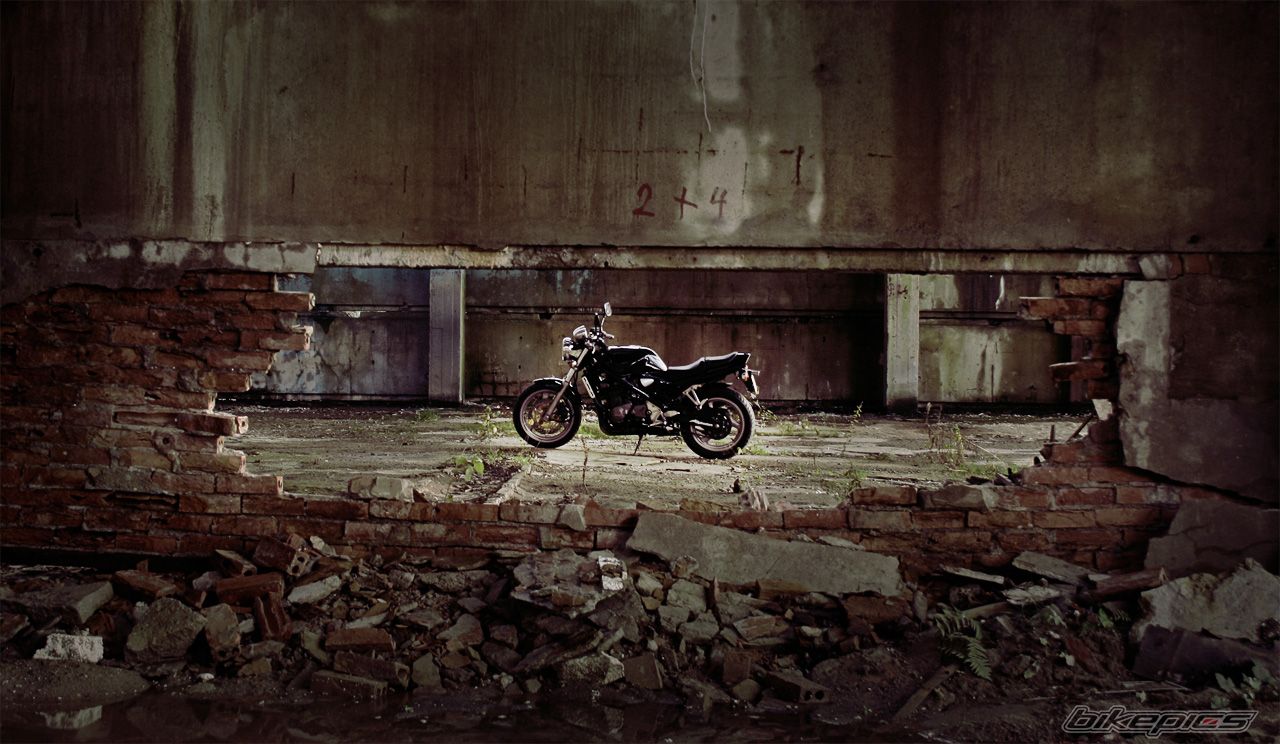 1992 SUZUKI BANDIT 400 | Picture 1062861 motorcycle photo