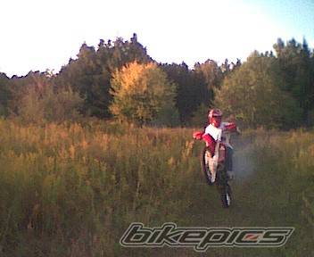 2001 HONDA CR 250 | Picture 10634 motorcycle photo