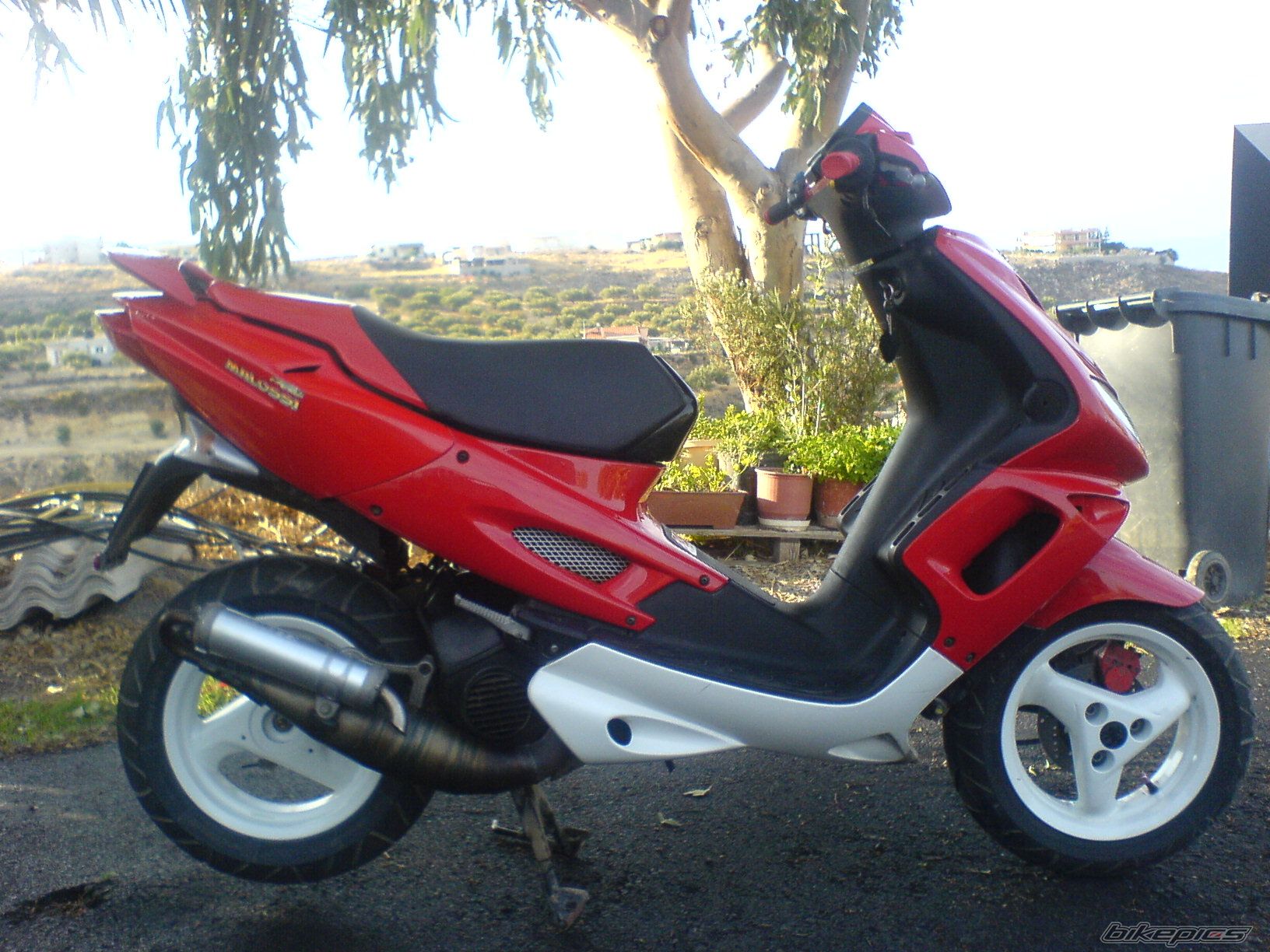 2008 PEUGEOT SPEEDFIGHT2 50 | Picture 1063466 motorcycle photo