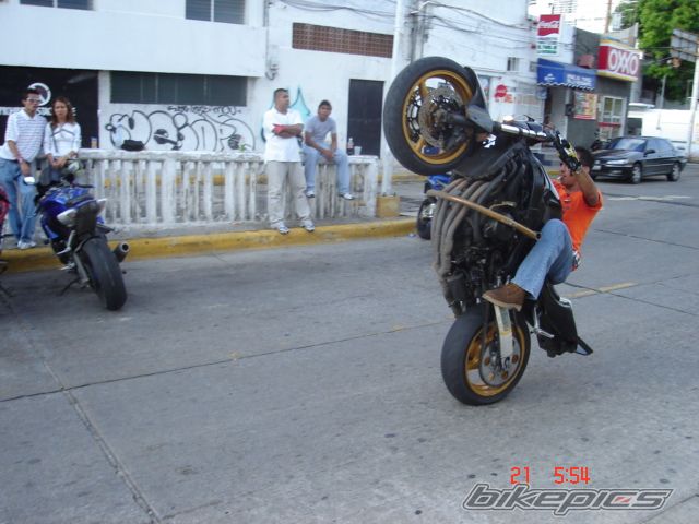 2002 HONDA CBR 600 | Picture 1063862 motorcycle photo