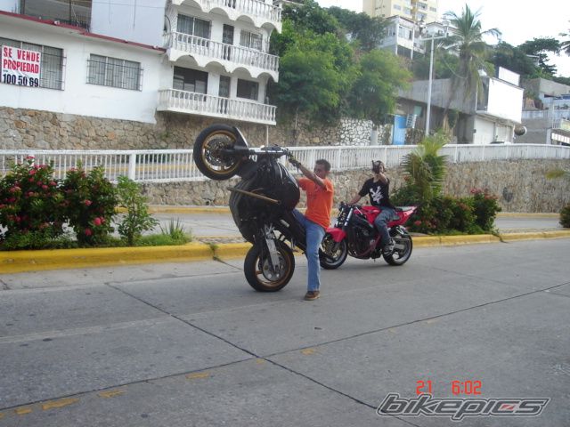2002 HONDA CBR 600 | Picture 1063871 motorcycle photo