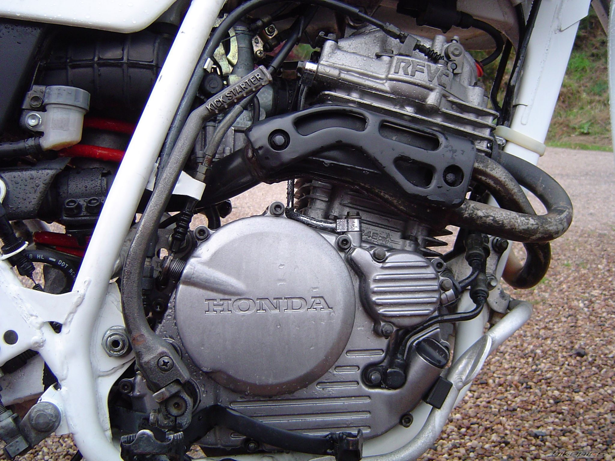 1995 HONDA XLR 250 | Picture 1063879 motorcycle photo