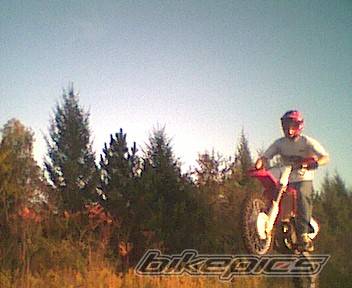 2001 HONDA CR 250 | Picture 10639 motorcycle photo