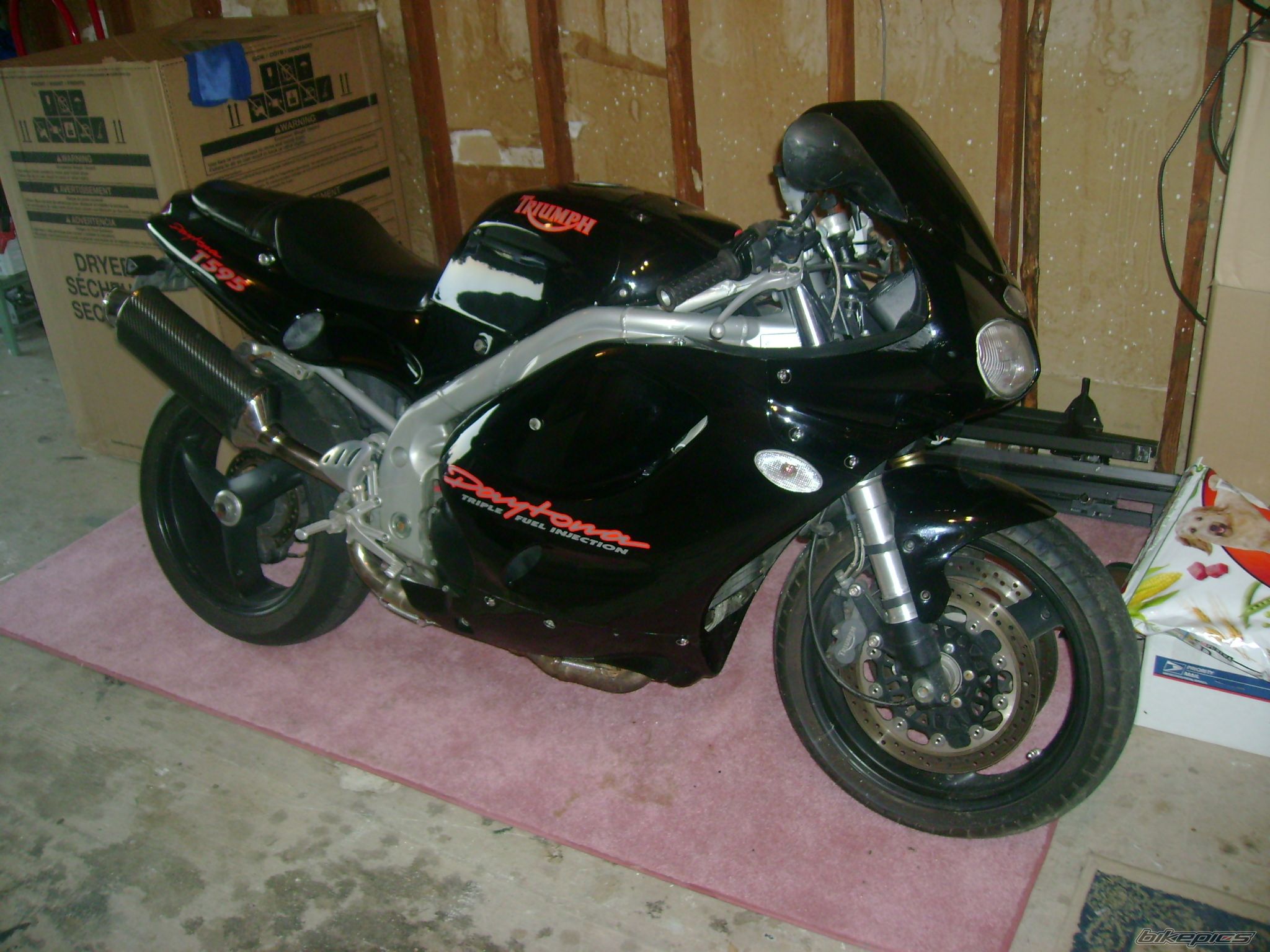 1998 TRIUMPH T 595 | Picture 1064164 motorcycle photo