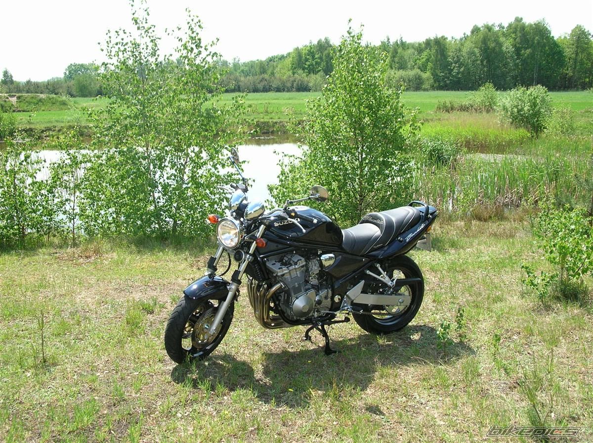 2001 SUZUKI BANDIT 600 | Picture 1064485 motorcycle photo