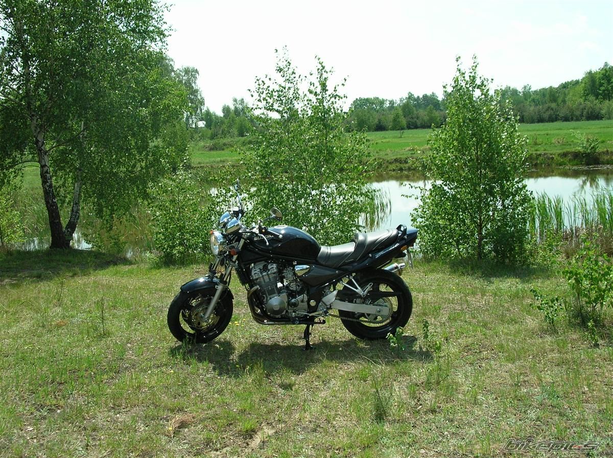 2001 SUZUKI BANDIT 600 | Picture 1064490 motorcycle photo
