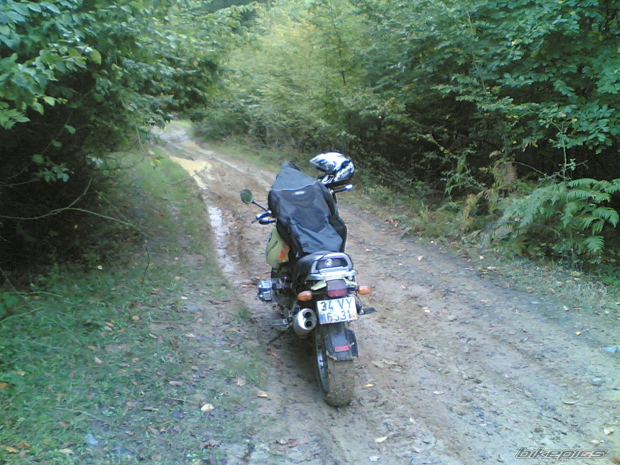 1998 BMW R 1100 GS | Picture 1064673 motorcycle photo