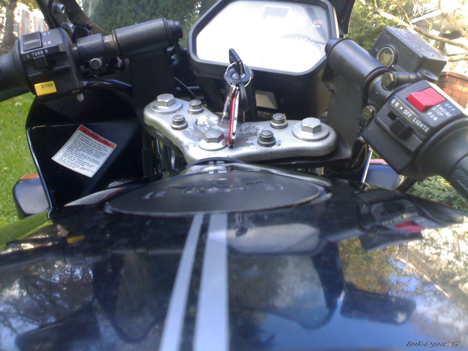 1995 SUZUKI RG 80 | Picture 1064808 motorcycle photo