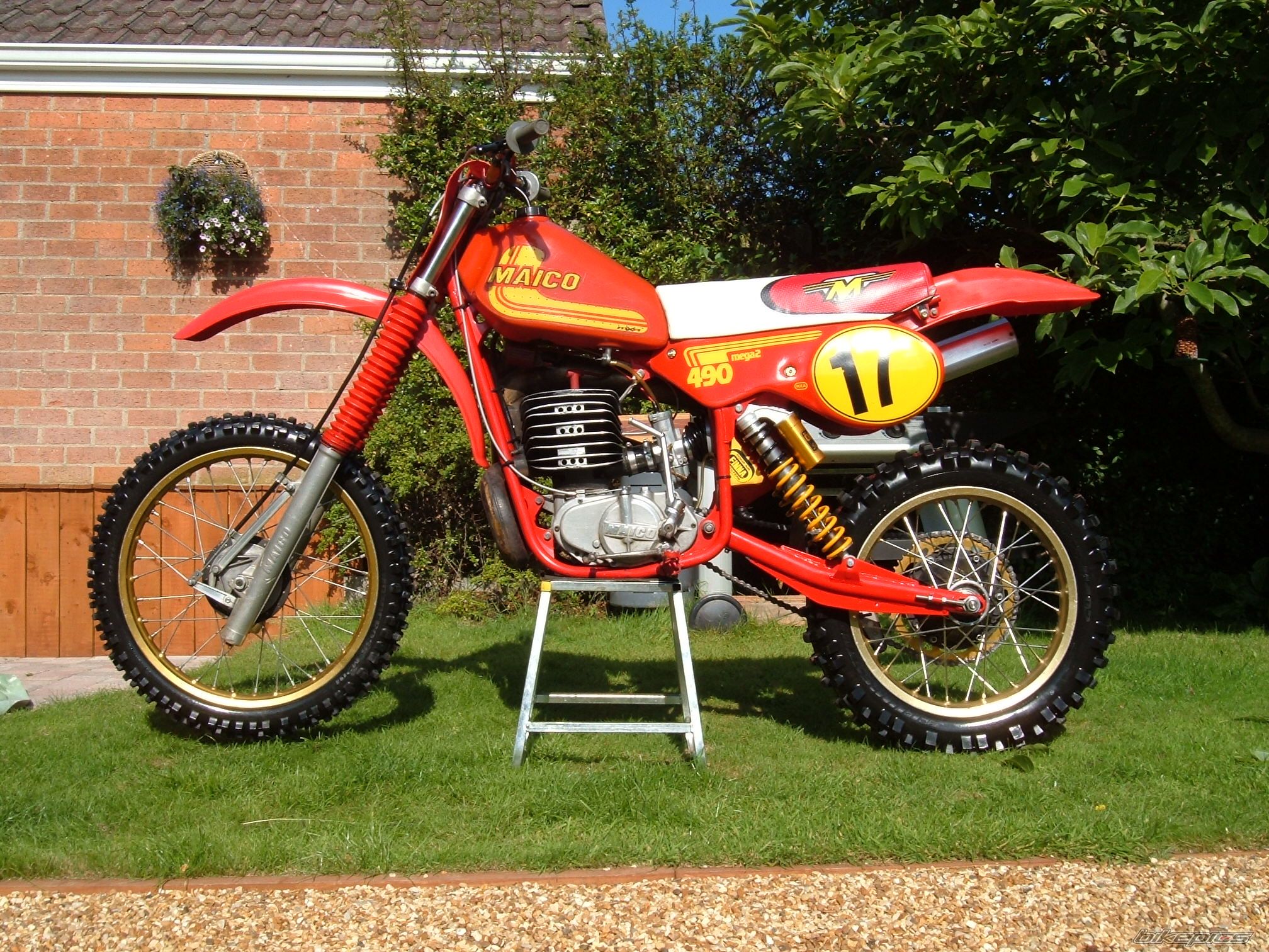 1981 MAICO ONLY MC 490 | Picture 1064821 motorcycle photo