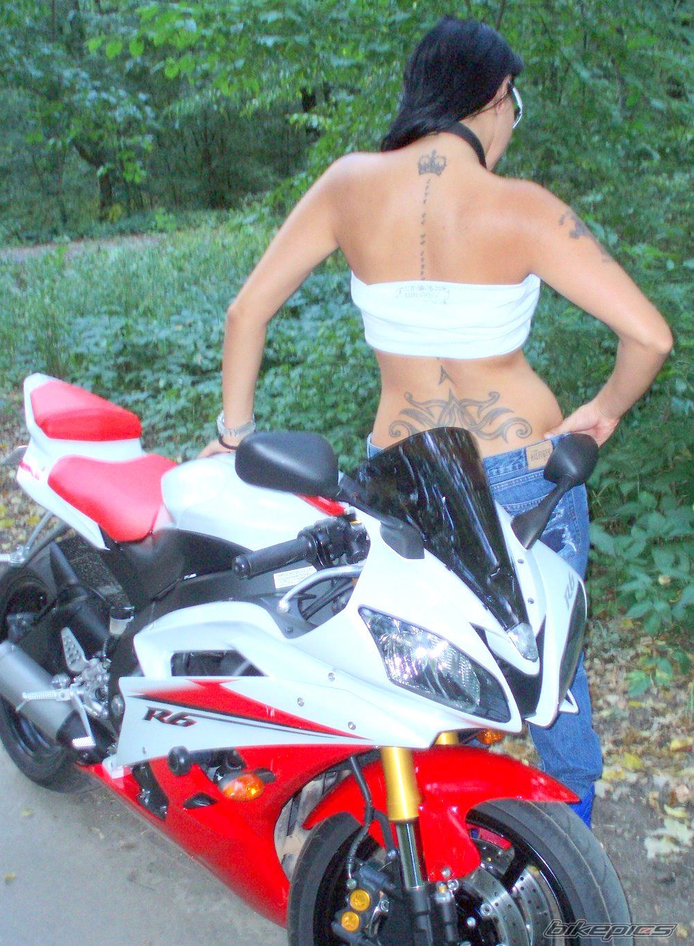 2007 YAMAHA YZF R6 | Picture 1065058 motorcycle photo