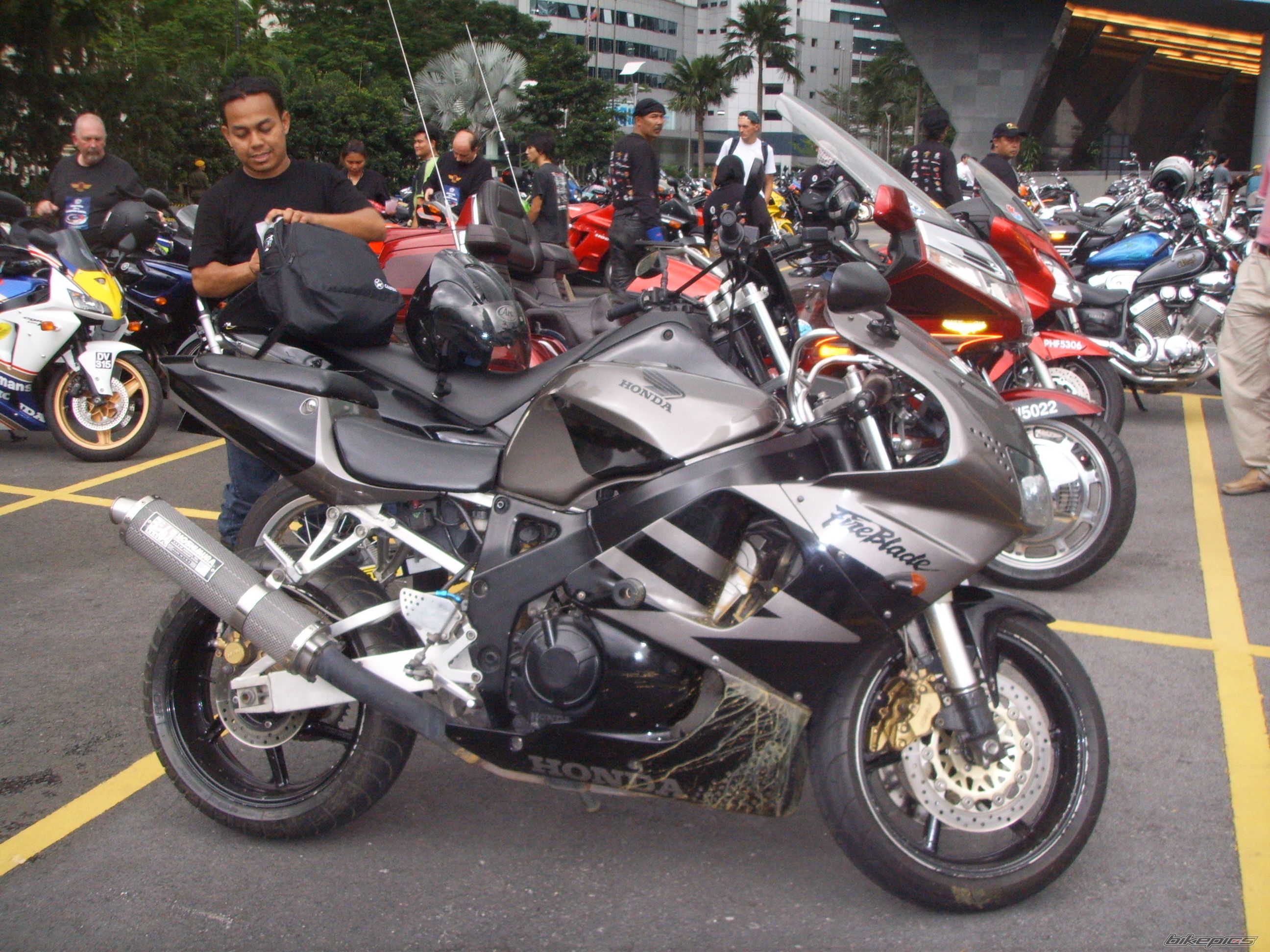 1995 HONDA CBR 900 | Picture 1066427 motorcycle photo
