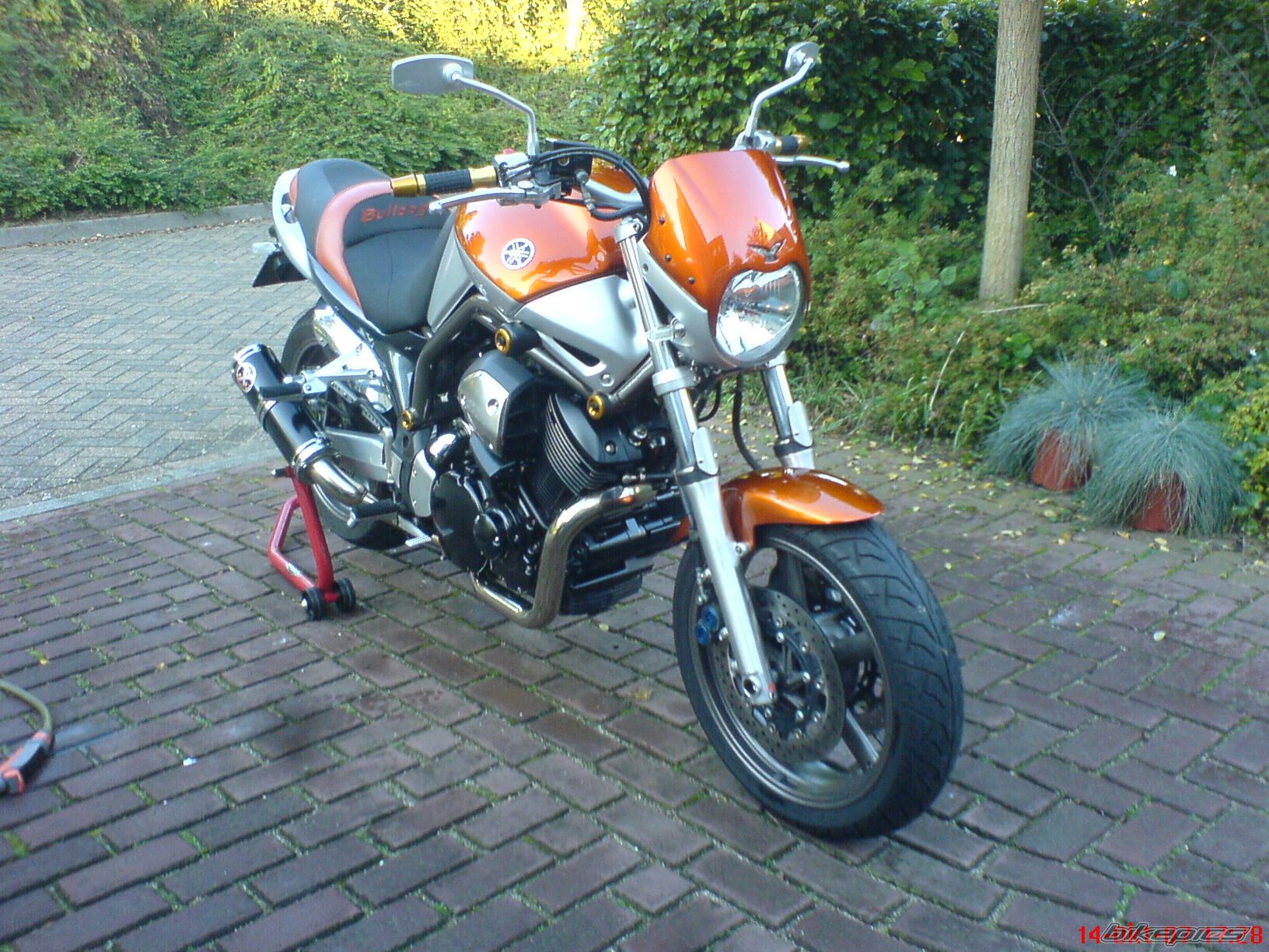 2004 YAMAHA BULLDOG | Picture 1066529 motorcycle photo