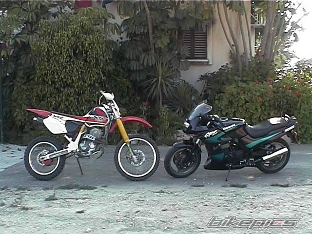 1998 HONDA XR 400 | Picture 106656 motorcycle photo