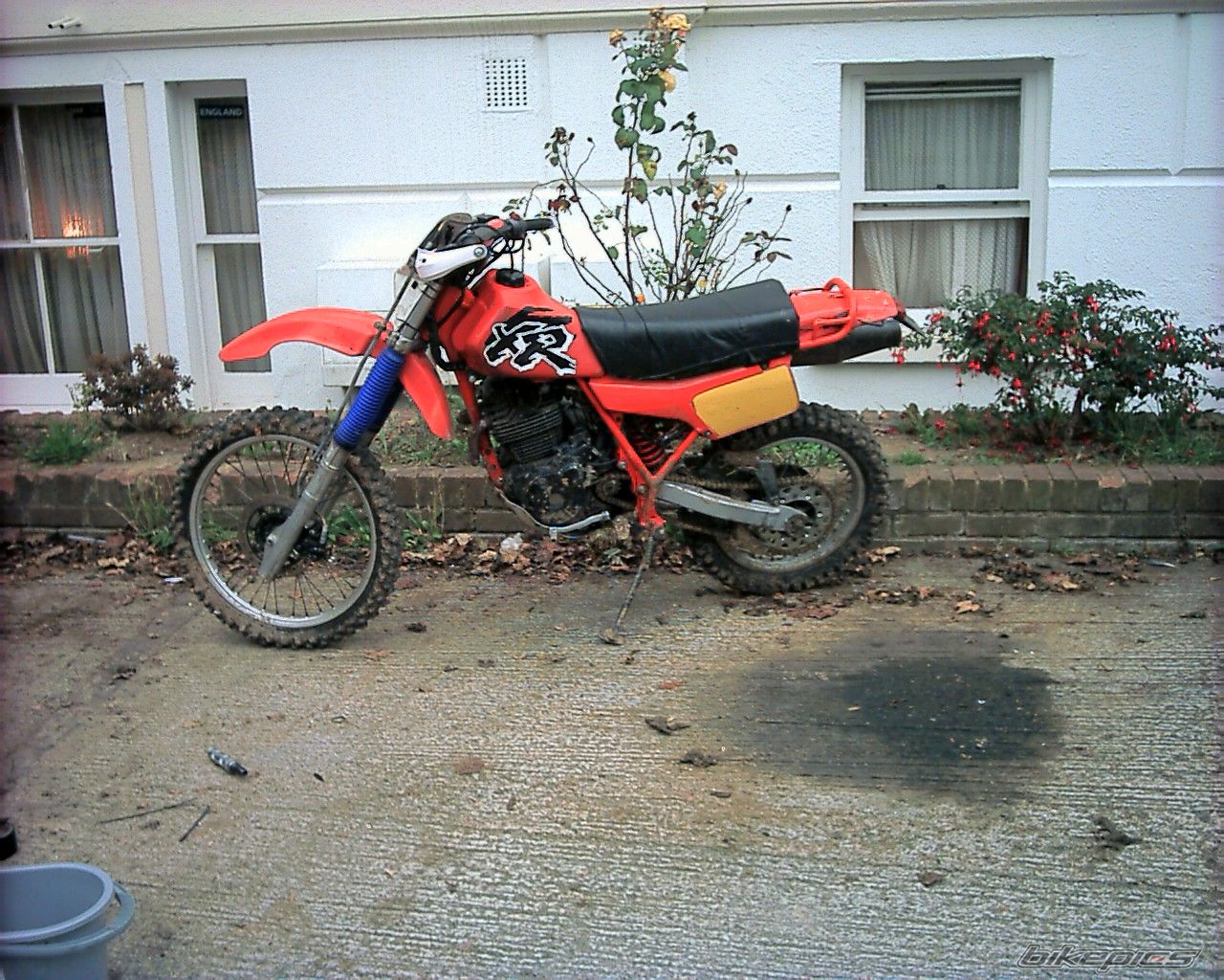 1982 HONDA XR 500 | Picture 1066828 motorcycle photo