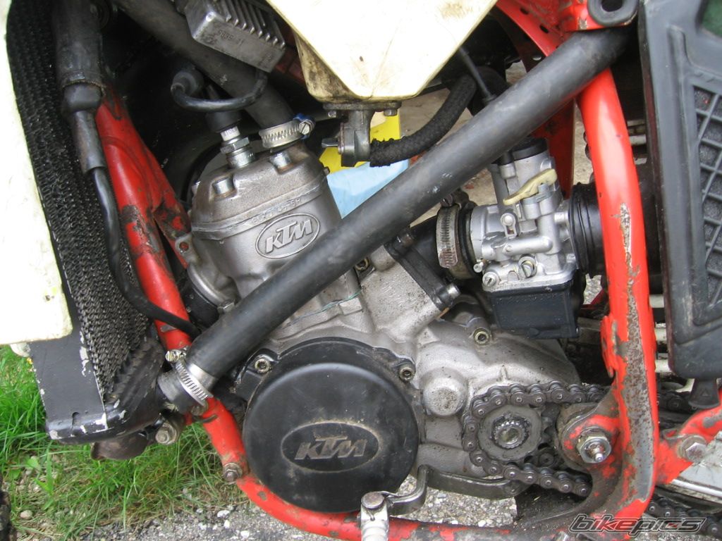 1987 KTM 80 MX | Picture 1067443 motorcycle photo