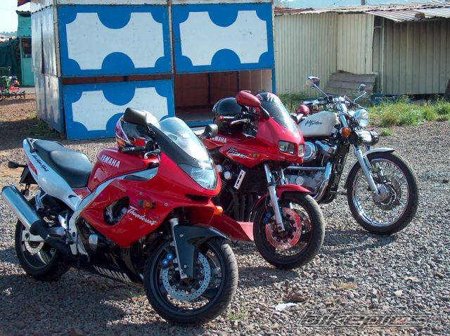 2004 YAMAHA FZ6 FAZER | Picture 106856 motorcycle photo