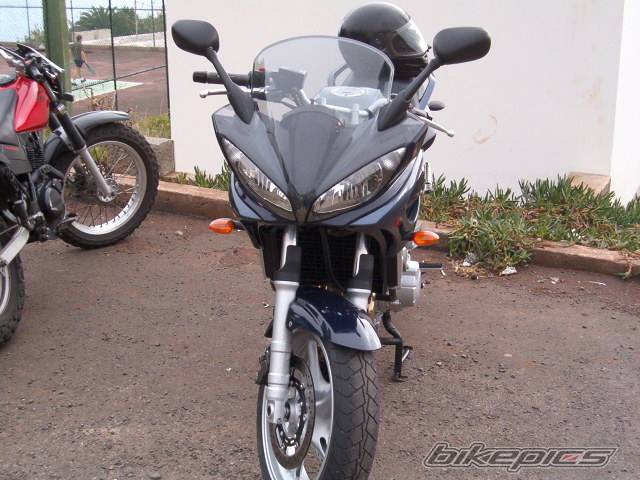 2004 YAMAHA FZ6 FAZER | Picture 106858 motorcycle photo