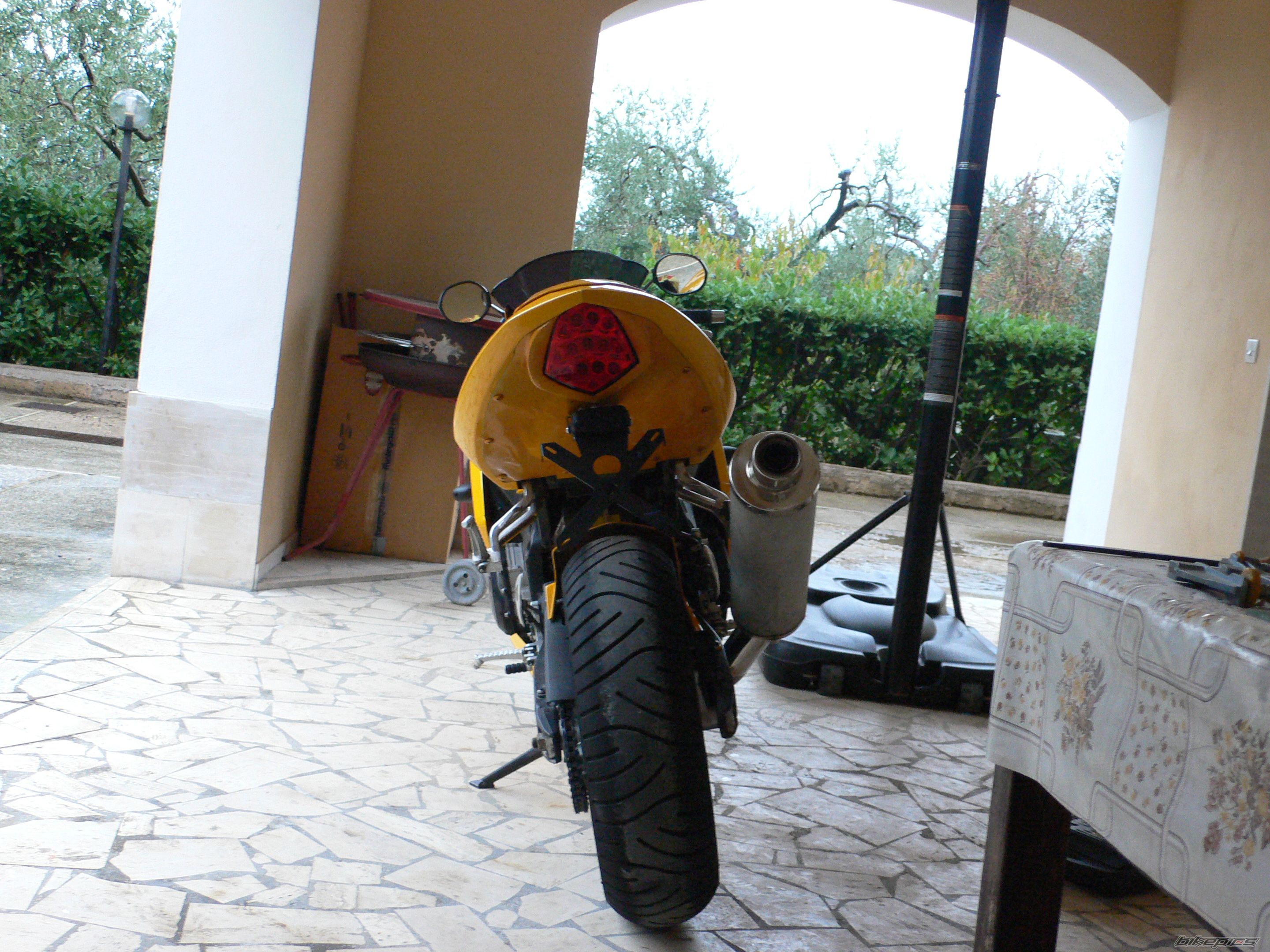 2003 TRIUMPH DAYTONA 600 | Picture 1068653 motorcycle photo