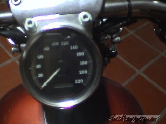 2002 HARLEY DAVIDSON XL 883C | Picture 106881 motorcycle photo