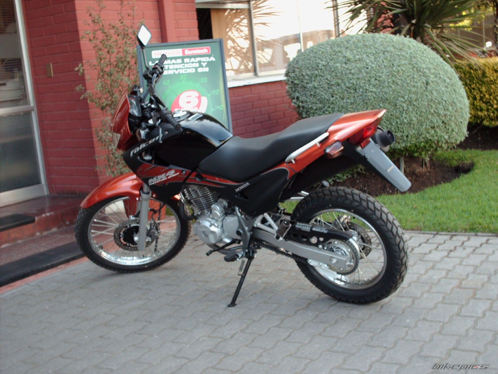 2007 HONDA NX 4 FALCON | Picture 1070057 motorcycle photo