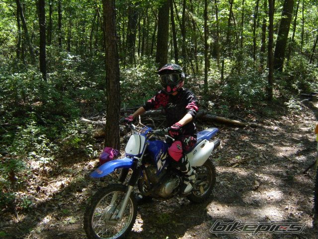 2002 YAMAHA TTR 125L | Picture 1071377 motorcycle photo