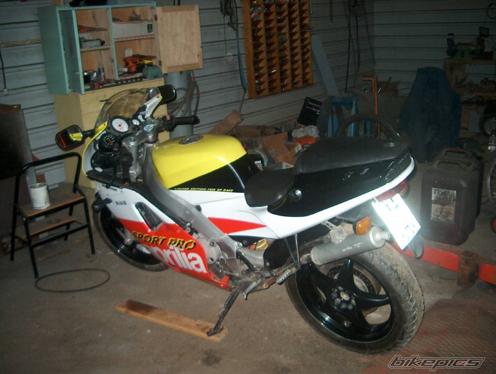 1993 APRILIA AF1 SPORT PRO 125 | Picture 107142 motorcycle photo