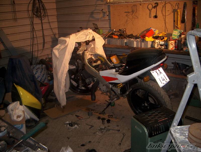 1993 APRILIA AF1 SPORT PRO 125 | Picture 107143 motorcycle photo