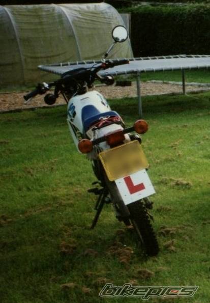 1991 SUZUKI TS 50 | Picture 1072 motorcycle photo