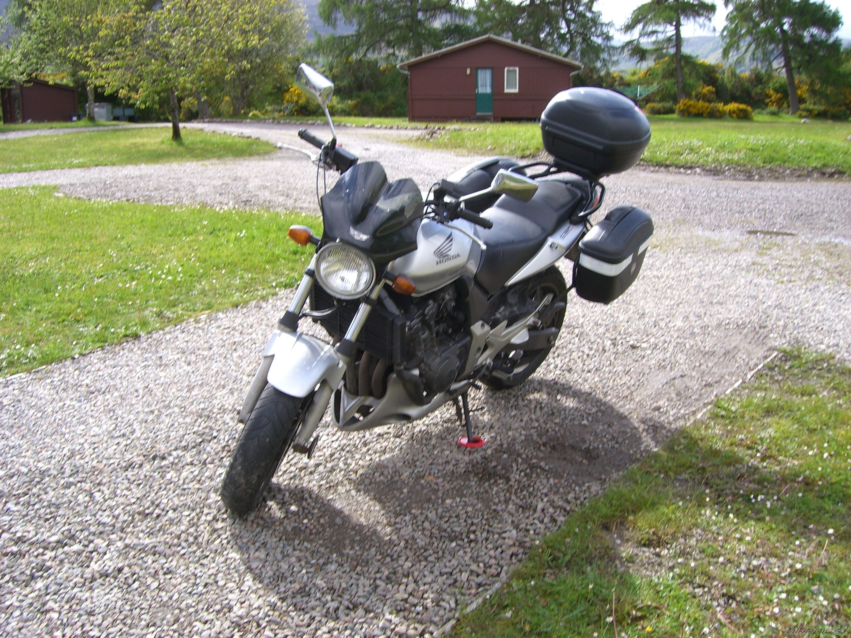 2004 HONDA CBF 600 | Picture 1072096 motorcycle photo