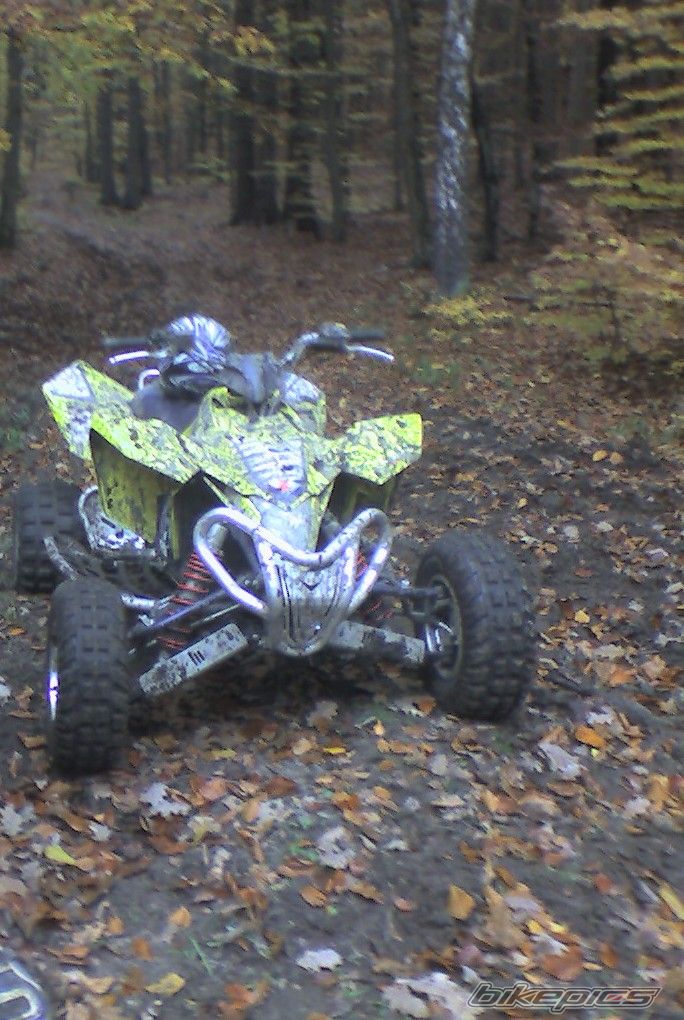 2007 SUZUKI LTR 450 | Picture 1072142 motorcycle photo