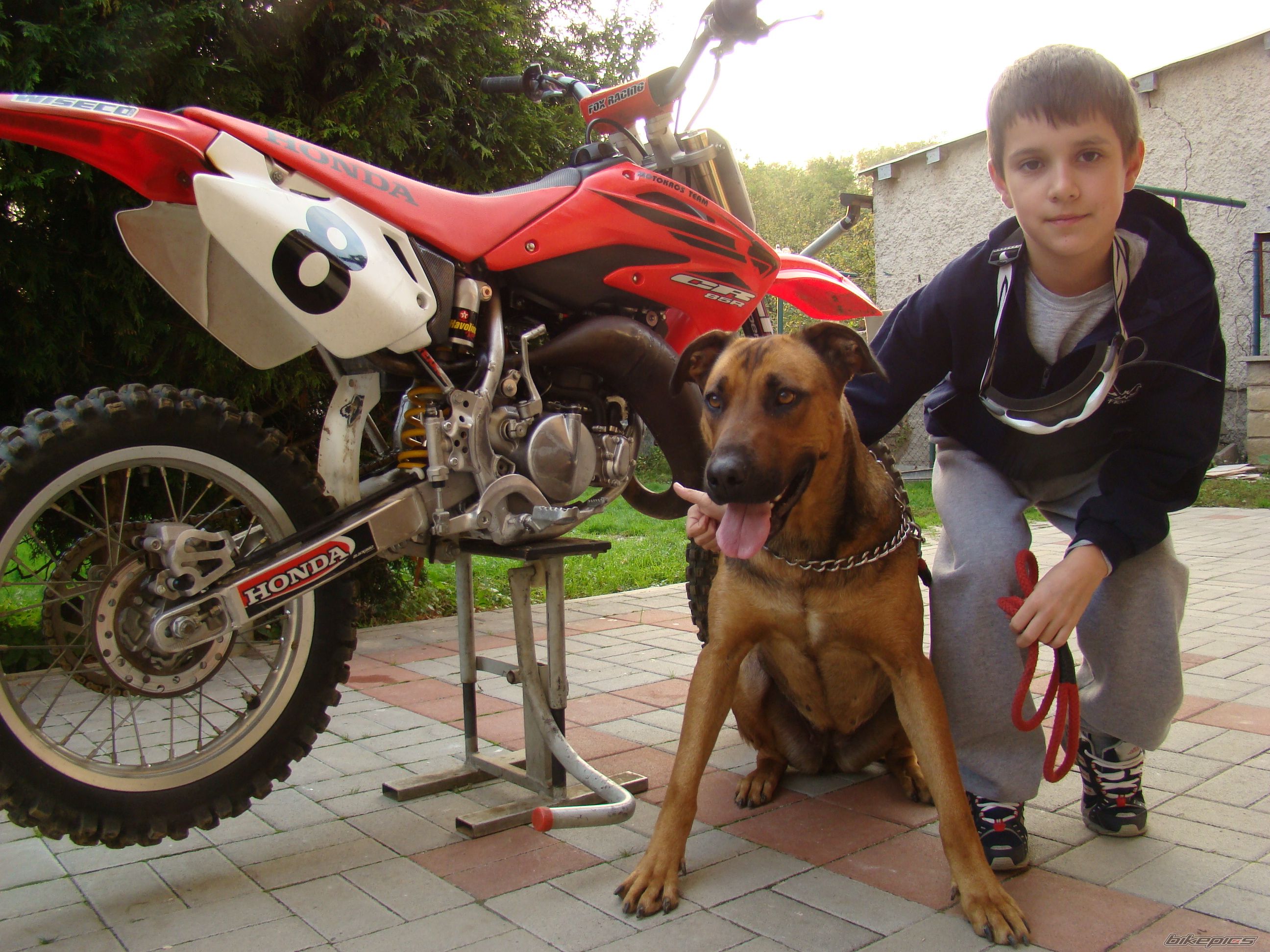 2007 HONDA CR 85 | Picture 1072607 motorcycle photo