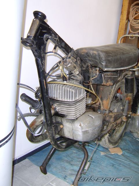 1972 WSK 175 | Picture 1073988 motorcycle photo
