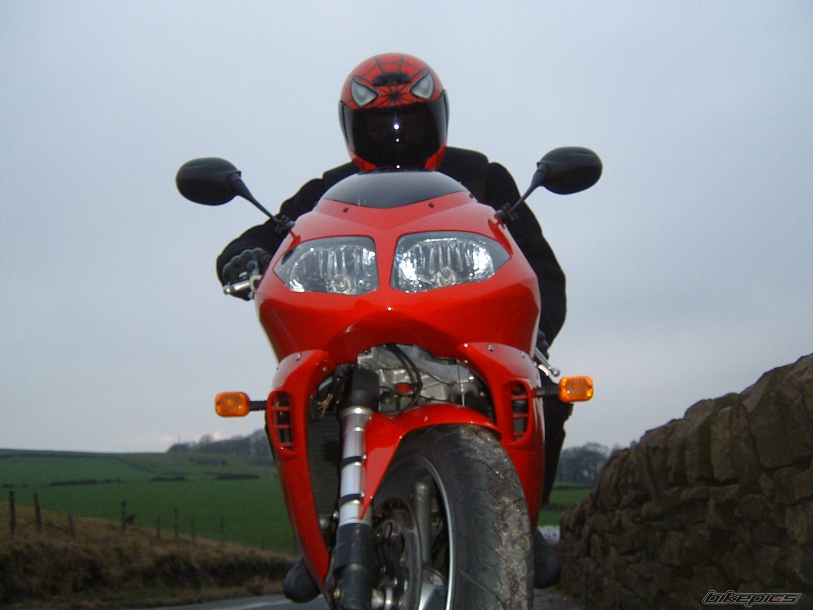 2004 TRIUMPH DAYTONA 955 | Picture 107400 motorcycle photo