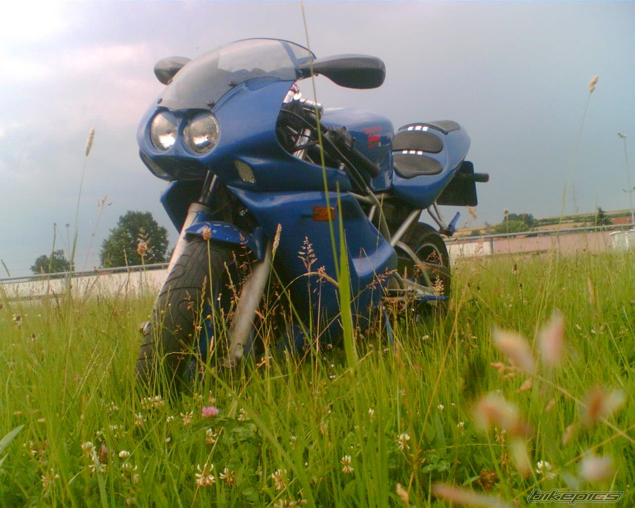 2003 SACHS XTC RACING | Picture 1074251 motorcycle photo