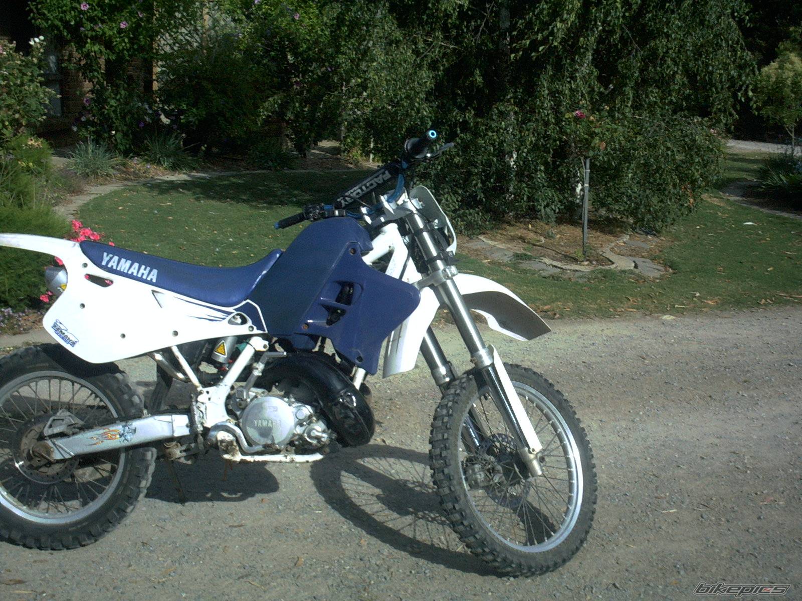 1995 YAMAHA WR 250 | Picture 107426 motorcycle photo