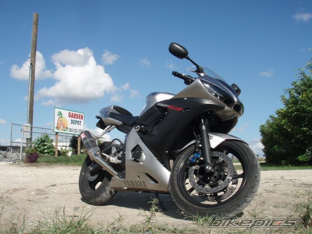 2003 YAMAHA YZF R6 | Picture 1074524 motorcycle photo