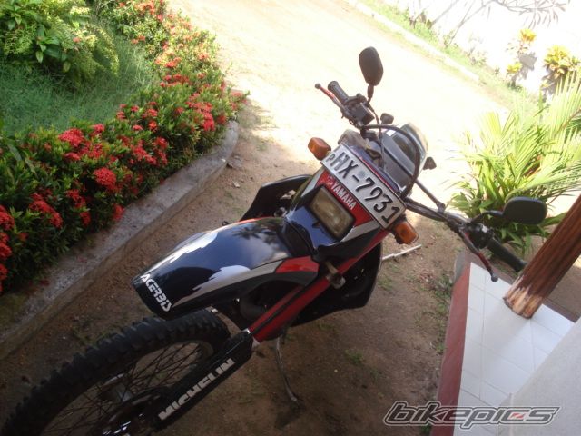 1994 YAMAHA WR 200 | Picture 1074579 motorcycle photo