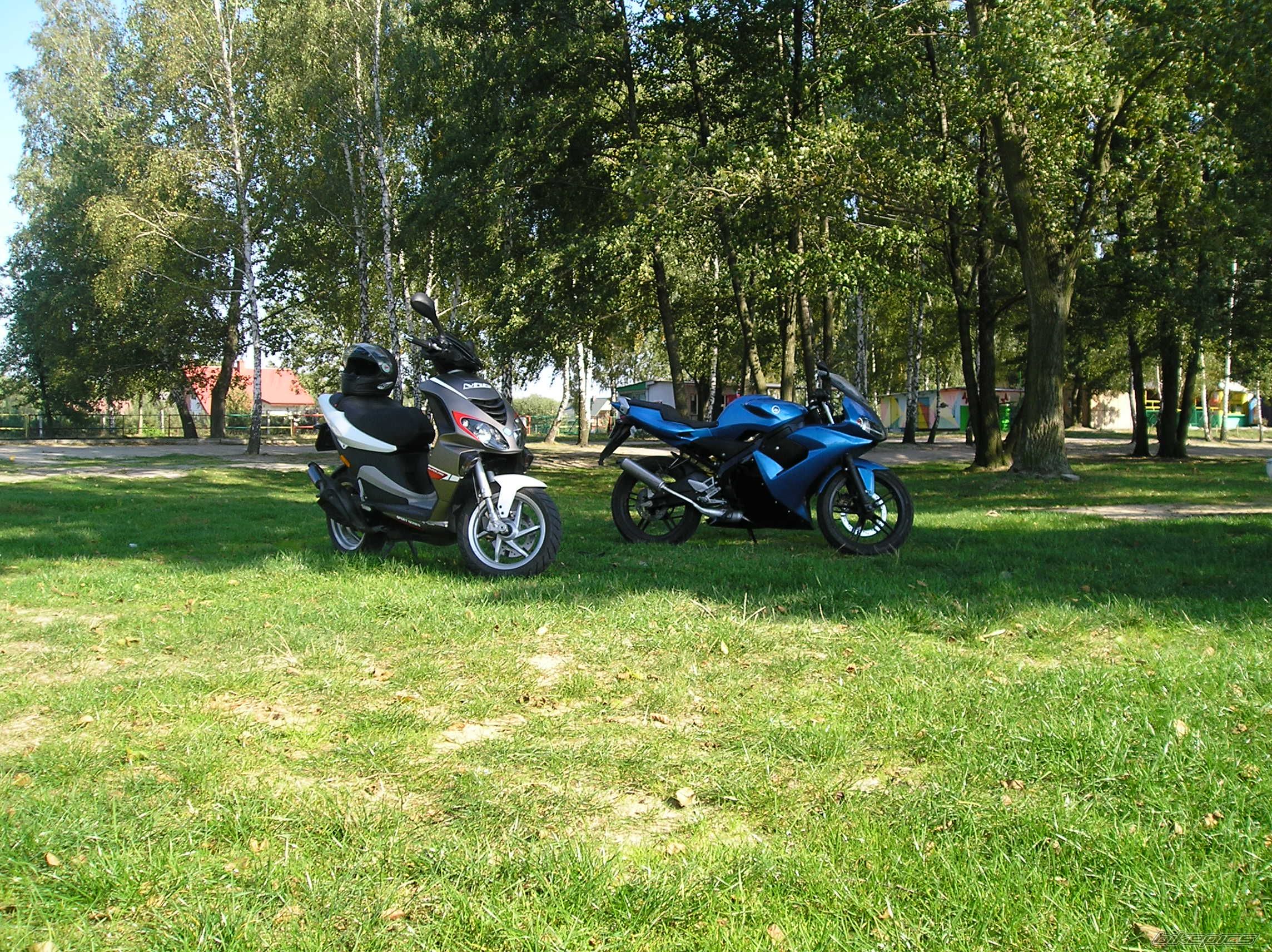 2006 PIAGGIO NRG | Picture 1075341 motorcycle photo