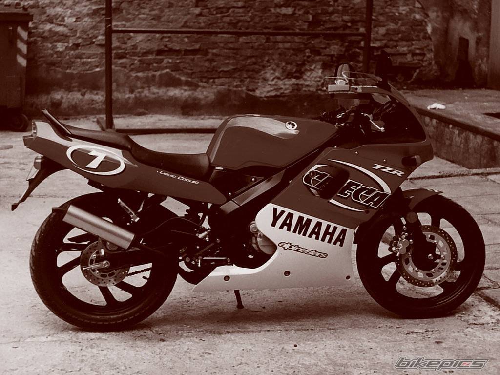 2001 YAMAHA TZR 50 | Picture 107540 motorcycle photo