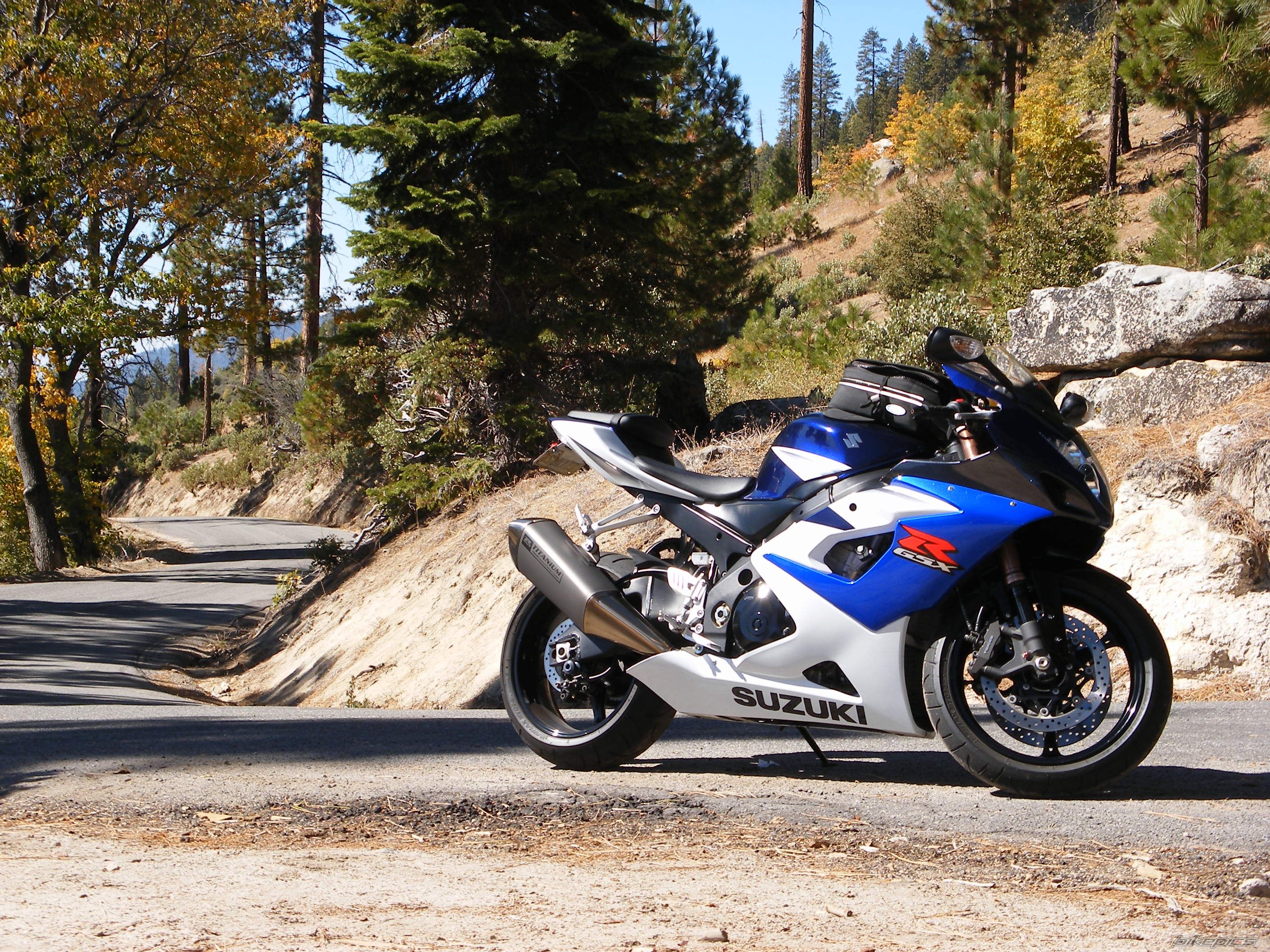 2005 SUZUKI GSX R 1000 | Picture 1075501 motorcycle photo