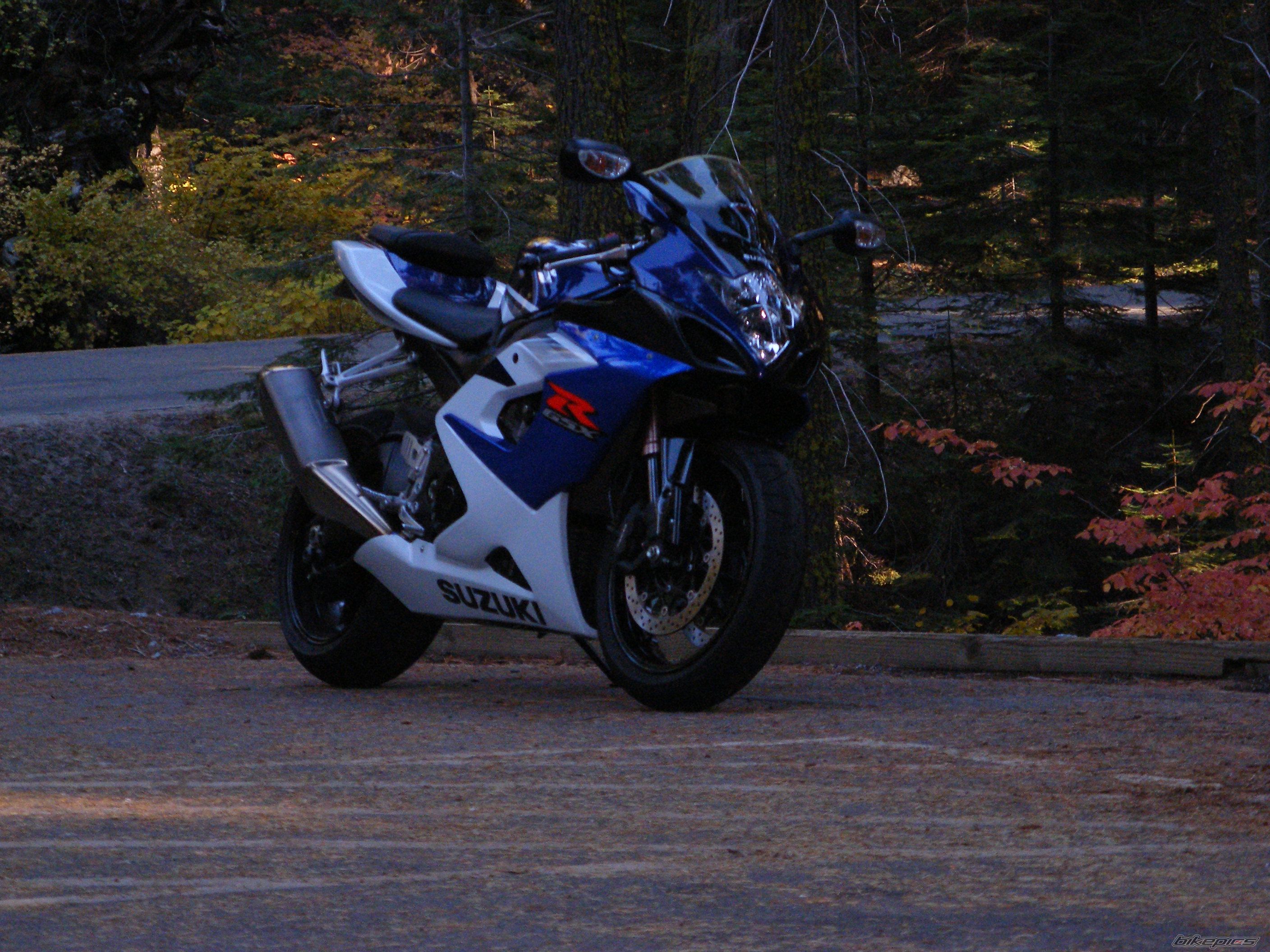2005 SUZUKI GSX R 1000 | Picture 1075520 motorcycle photo